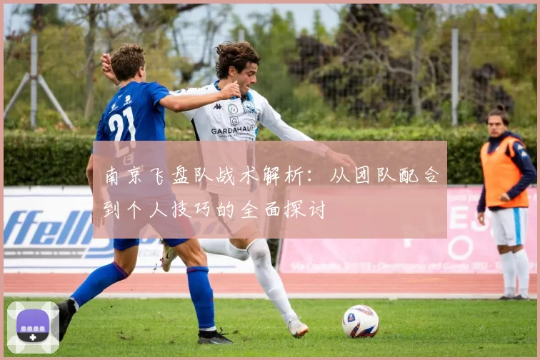 南京飞盘队战术解析：从团队配合到个人技巧的全面探讨